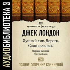 Сборники «Лунный лик»; «Сила сильных»; «Дорога»