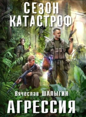 Приключения Андрея Лунёва-1. Агрессия