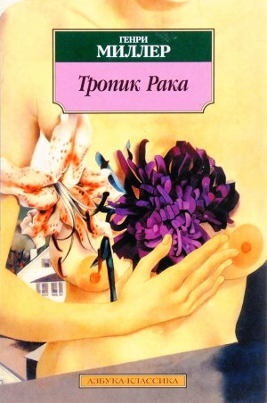Тропик рака