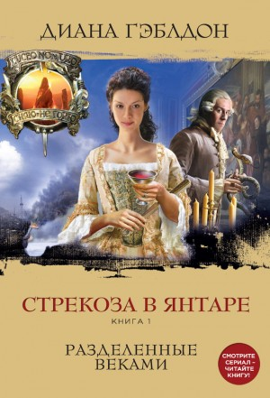 Стрекоза в янтаре. Книга 1. Разделённые веками