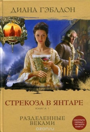 Стрекоза в янтаре. Книга 1. Разделённые веками