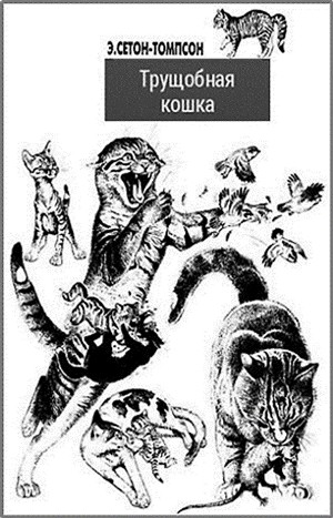 Трущобная кошка