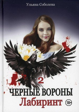 Чёрные Вороны: 2. Лабиринт
