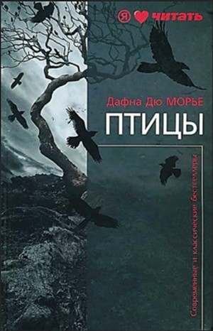 Птицы