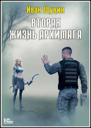 Вторая жизнь архимага