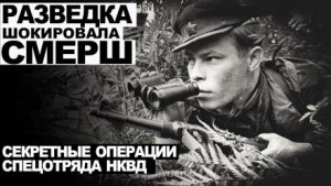 Дело № 12. Разведка шокировала СМЕРШ