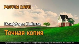 Точная копия