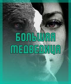 Большая Медведица
