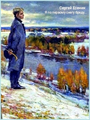 Сборник: "Я по первому снегу бреду..."