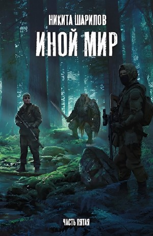 Иной мир. Дорога домой