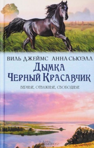 Дымка, конь ковбоя
