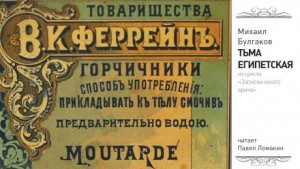 Записки юного врача: 5. Тьма египетская