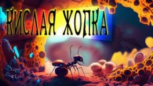Кислая жопка