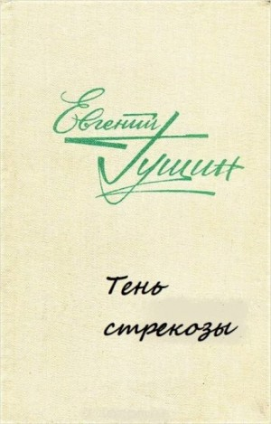 Тень стрекозы