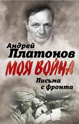 Сборник «Письма с фронта»; «Я видел страшный лик войны»