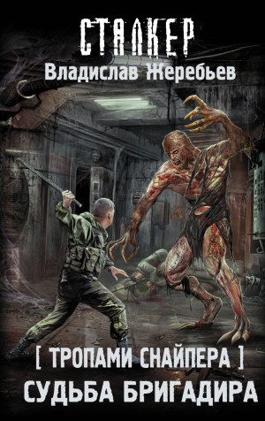 100-S.T.A.L.K.E.R. Тропами снайпера-3. Судьба Бригадира