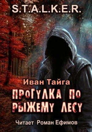 Прогулка по Рыжему лесу