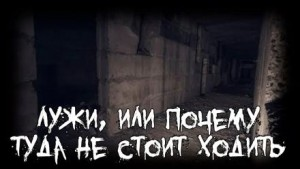Лужи, или почему туда не стоит ходить