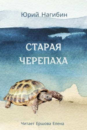 Старая черепаха