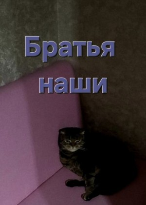 Братья наши