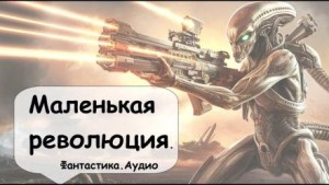 Маленькая революция
